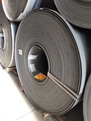 Immagine di 2204929822